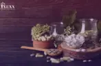 Eco-Conscious Medicine: Are Sustainable Practices the New Norm at Healthcare Conferences?